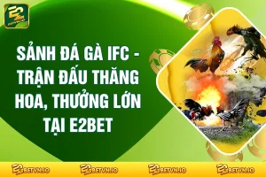 Sảnh Đá Gà IFC - Trận Đấu Thăng Hoa, Thưởng Lớn Tại E2BET
