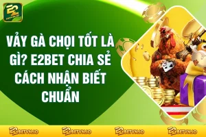 Vảy Gà Chọi Tốt Là Gì? E2BET Chia Sẻ Cách Nhận Biết Chuẩn